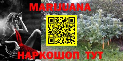 крисы Коломна