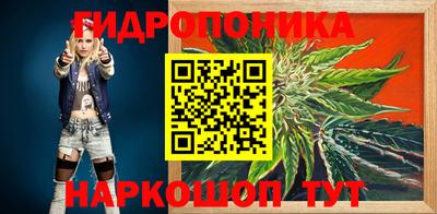 крисы Коломна