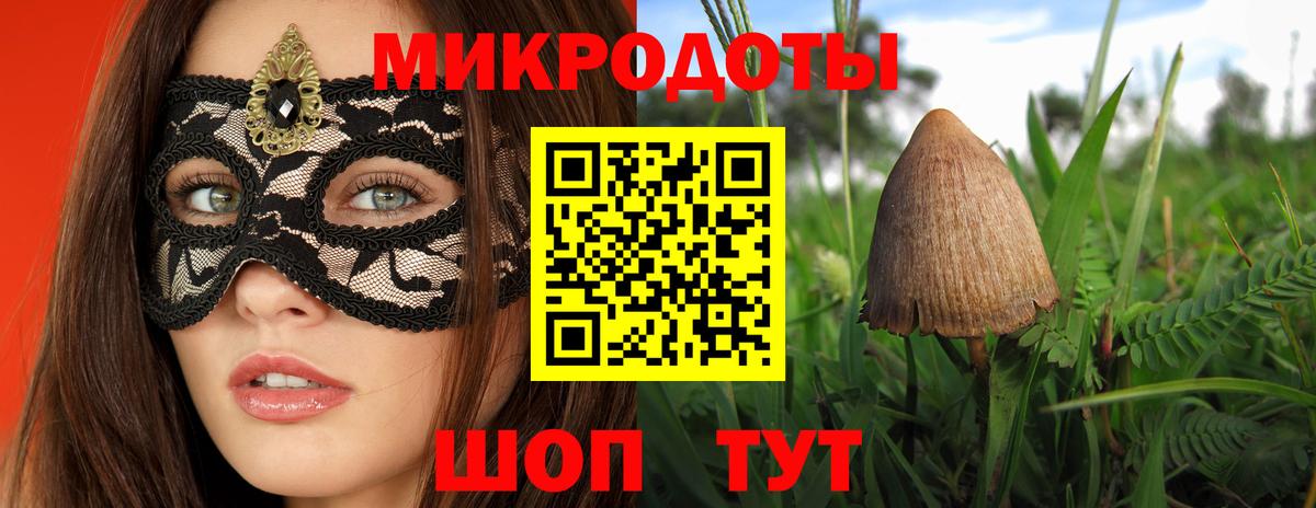 Псилоцибиновые грибы Psilocybine cubensis Иркутск